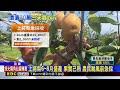 怕颱風毀心血！價值30萬元上將梨急搶收@newsebc