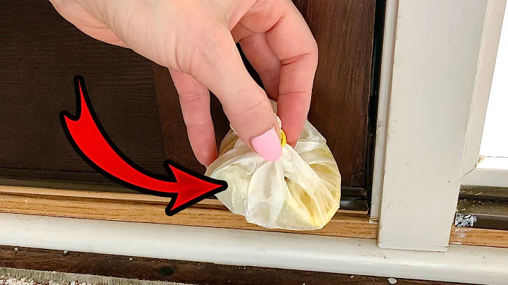 This is Why You Should Put a BUNDLE of Lemon Peels...