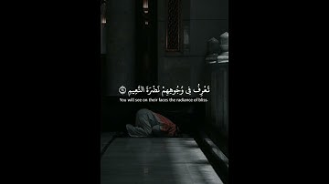 اكتب شيء تؤجر عليه 😴🤍 اذكر الله يذكرك #قران كريم بصوت القارئ ياسر الدوسري