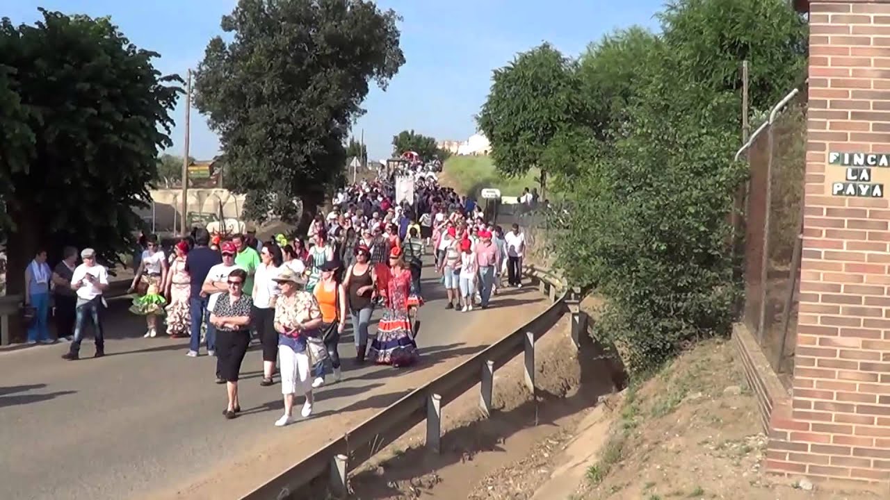 Romería Virgen de la Encina 2014. El Camino. Baños de la Encina