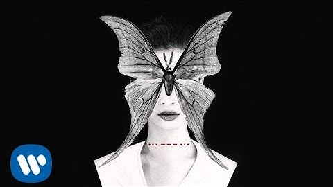 Peter Pan Complex - Morning [official audio]