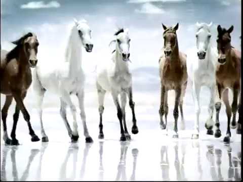 نشرة أخبار العراق اليوم قناة الحرة 27 آب أغسطس 2006 الجزء الأول 