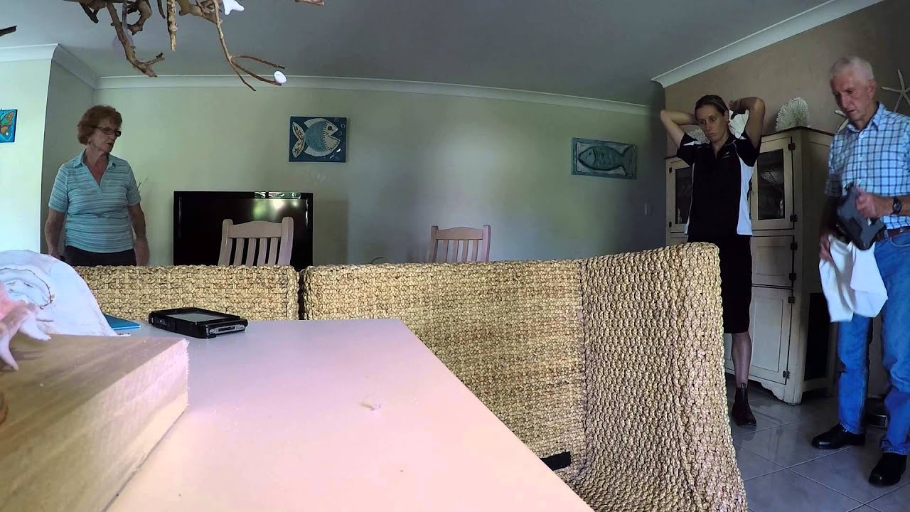 when two snake catchers meet on the one job for a green tree in tweed