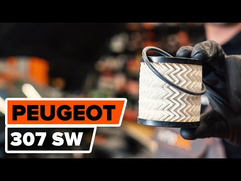 Ölwechsel PEUGEOT 307 (3H) wie Öl und Ölfilter wechseln [AUTODOC TUTORIAL]