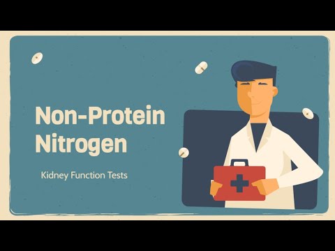 Non Protein Nitrogen Blood Urea Nitrogen Uric Acid Creatinine Ammonia Filipino