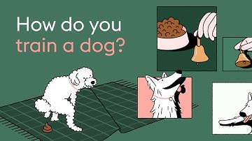 From Pavlov to clickers: A brief history of dog training techniques