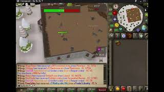 Conquest RSPS nutcracker minigame