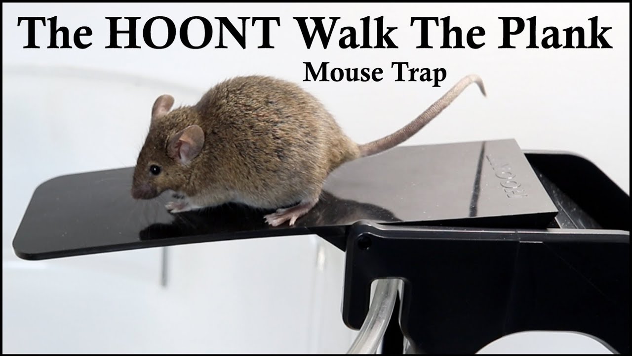 Hoont Walk the Plank Bucket Mouse Trap Commercial Grade H... Includes 2 Ramps 
