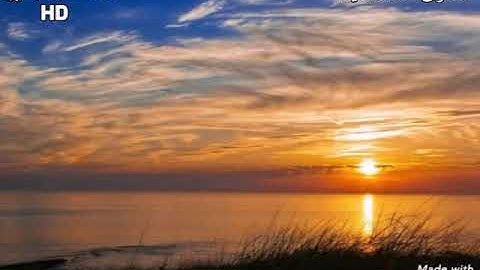 سبحان من رزقه هذا الصوت الجميل والعذب 🍃🌸 || القارئ معاذ العيد