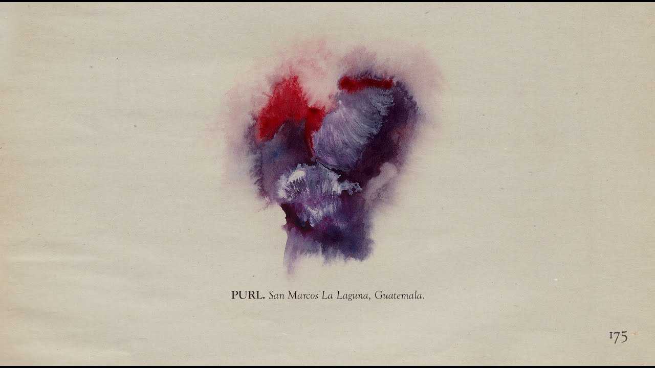 The Memoir - Page 175: Purl