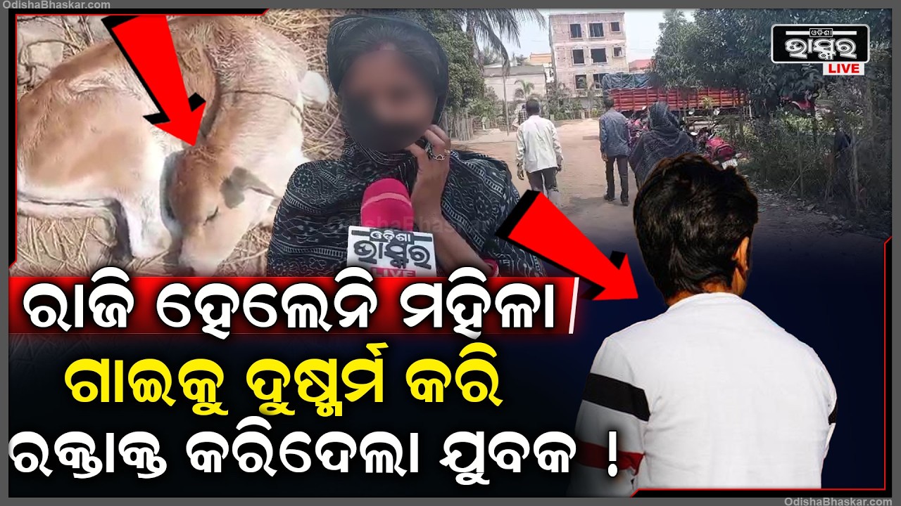 ରାତି ଅଧରେ ମହିଳା ରାଜି ହେଲେନି ବୋଲି ବାଛୁରୀକୁ ଦୁ-ଷ୍କର୍ମ କରି ଏମିତି କରିଦେଲା ଯୁବକ