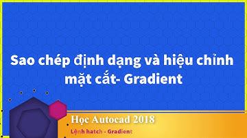 Học AutoCAD 2018: Gạch và hiệu chỉnh mặt cắt hatch, gradient - Lệnh hatch P4
