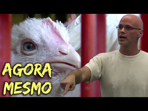 Caminhões de Assassinato - Gary Yourofsky