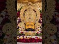 Beautiful Shyam Baba💐#viralshorts #shyamstatus #devotional #shorts #bhagtistatus