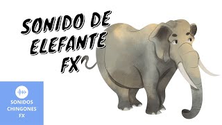 Elefante 1 - Efecto De Sonido Para Videos