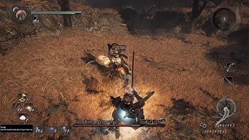 [PS5] Nioh Remastered - Iai Quickdraw loop