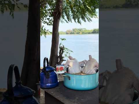 الطبليه الاشهر ف ريف مصر والاحب الي قلبي