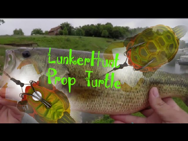 Pike Fishing with a Topwater Turtle! Lunkerhunt prop turtle 