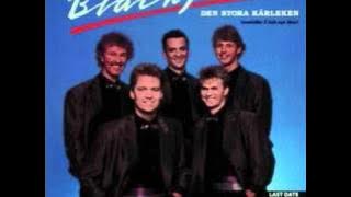 Black Jack - Corina Corina