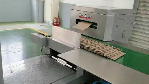 Nanjiang WFD-430 Fully Automatic Roll Fed Paper Bag with Twisted & Flat Handle Machine