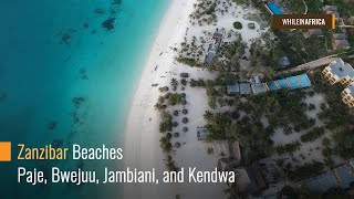 How Zanzibar Beaches Look Like in 2019: Paje, Bwejuu, Jambiani, and Kendwa
