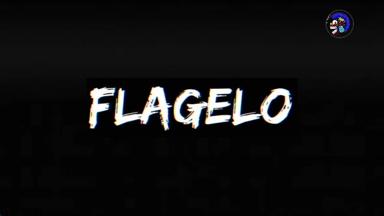 FlAGELO EN VIVO en cerrito colorado (21/febrero/2019) crust pussy punk