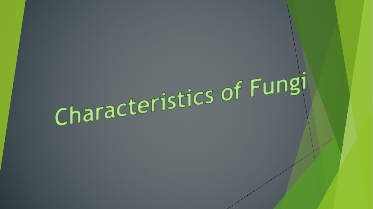 Characteristics of fungi and their important structures
