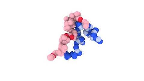 Constant pH Simulations of Weak Polyelectrolytes (M. Nguyen)