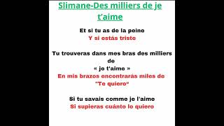 Slimane Des milliers de je t'aime con las letras en francés y en español