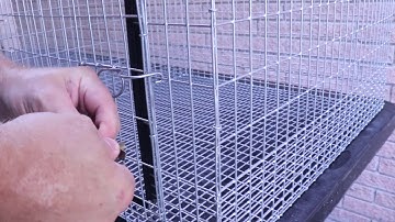 SETTING UP an Automatic Watering System