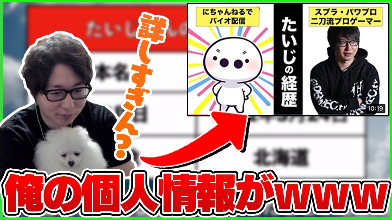 活動歴および当時の関連ビジュアル記録