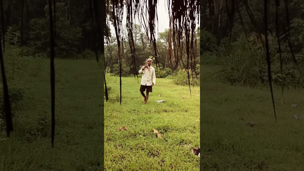 gondi comedy video 😀