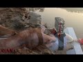 End of video