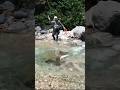 テンカラで40cmイワナが飛びだした！ #渓流釣り