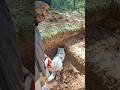 Digging A Pool and Dugout in the woods Pt11 #yeshuainthewoods #yeshua in the woods #homestead #diy