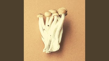 Sprightly Backdrops for Autumn Creativity