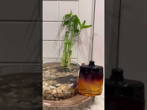 عطور مونت بلانك عطر ليجند نايت   