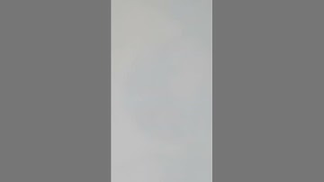 #short#squid#ali abdul#player 199