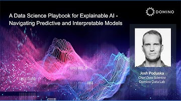 A Data Science Playbook for Explainable AI - Navigating Predictive and Interpretable Models