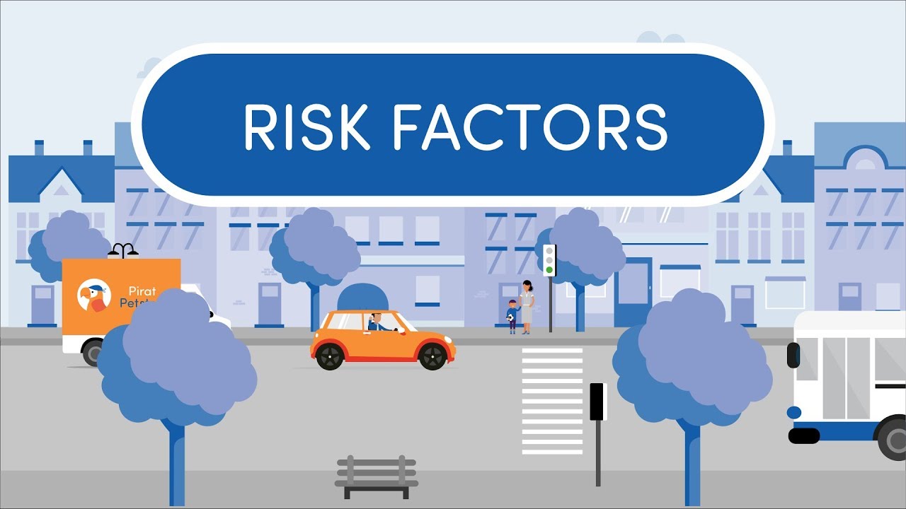 Road Safety DSS Risk Factors YouTube