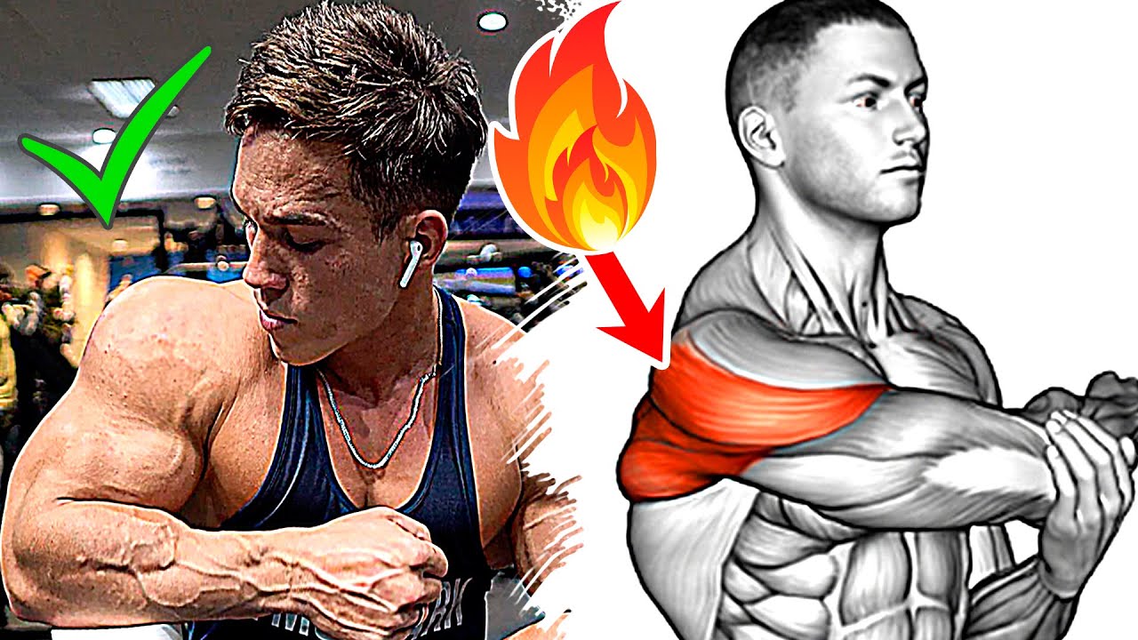 The Best Exercises for Massive Shoulders!