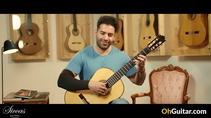 Paulino Bernabe - 2022 Coleccin Classical Guitar -...