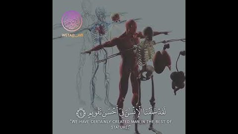 حالات واتس دينية... سورة التين والزيتون.♥♡