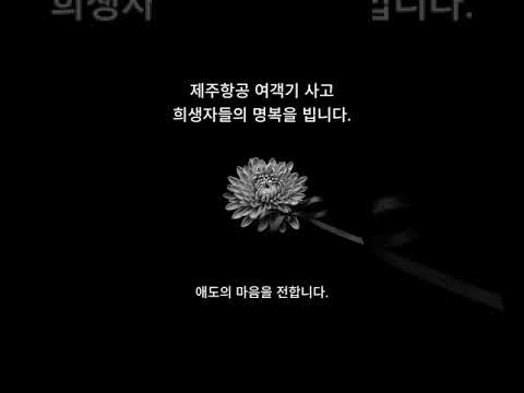 애도의 마음을 전합니다. #애도 #명복 #추모