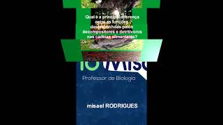 Qual é a principal diferença decompositores e detritívoros?