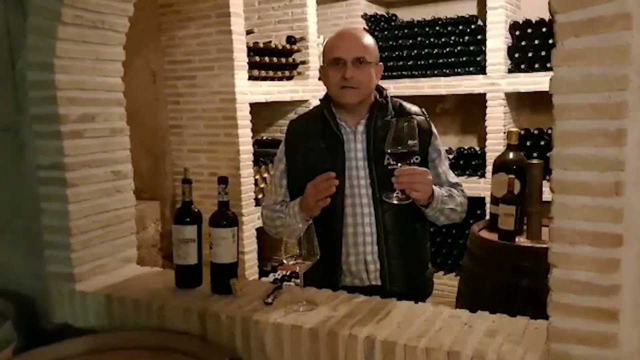 El Equilibrio Perfecto: Bodegas Alceño