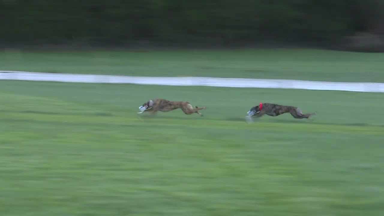 Figjam Wins in Johnstown & Urlingford