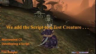 200606_2225 Morrowind CS - Nix Pooper Test