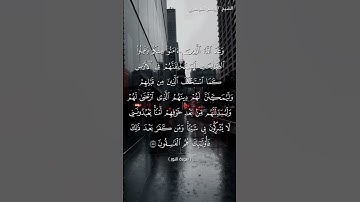 سورة النور من  آية 54 إلى آية 55 بصوت الشيخ ياسر الدوسري♥♥
