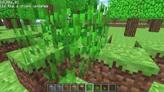 Trying out Minecraft c0.0.20a_01